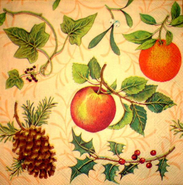 043 Lemons,  Oranges - 3-ply
